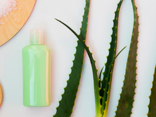 Shampoo de babosa: quando incluir aloe vera na lavagem dos fios?