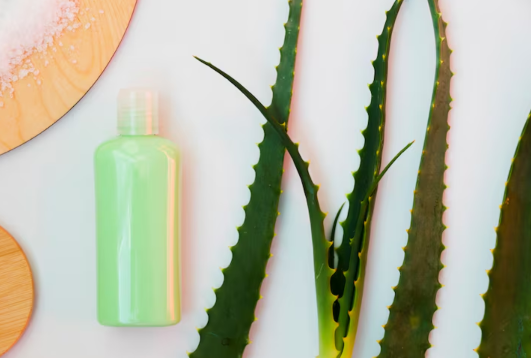 Shampoo de babosa: quando incluir aloe vera na lavagem dos fios?